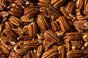 Raw Brown Oranic Pecan Nuts