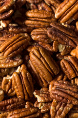 Raw Brown Oranic Pecan Nuts