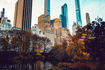city skyline