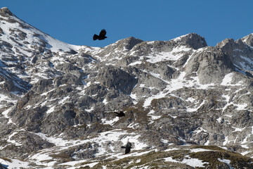 Cantabria