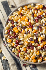 Dry Organic Assorted Rainbow Popcorn