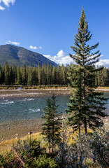 Fototapeta na wymiar Bow River in Banff National Park