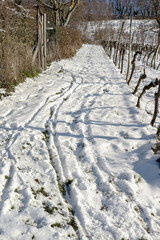 Fahrzeugspuren im Schnee