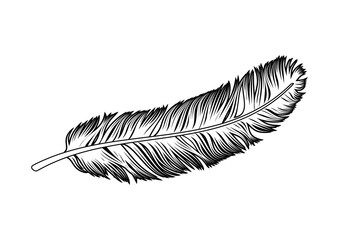 One fluffy bird feather icon vector. Black and white feather icon isolated on a white background. Quill design element