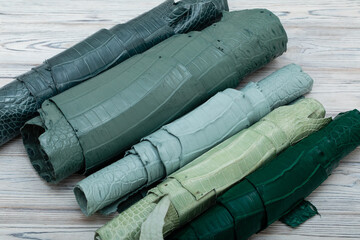 Colorful rolls of alligator leather. Green blue palette.