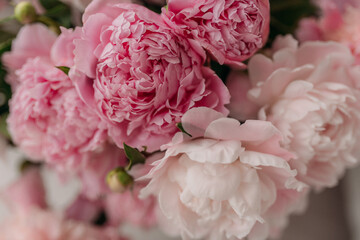 pink flower piones