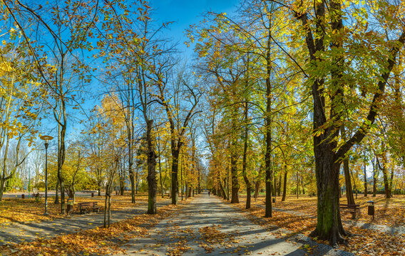 Fall Foliage at the Stanislaw Staszic Municipal Park
