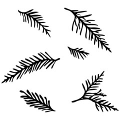 Fototapeta na wymiar Set of vector coniferous branches, silhouette