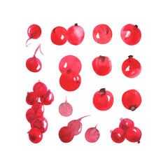 New Year set 2022 _ elements _ berry set