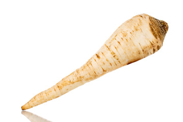 One spicy parsnip, close-up, isolated on white.