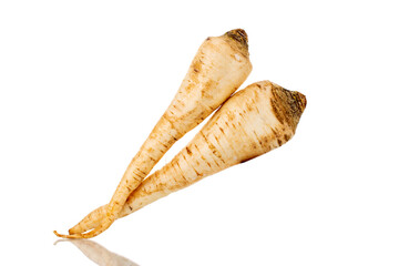 Two spicy parsnips , close-up, isolated on white.