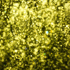 yellow flower background