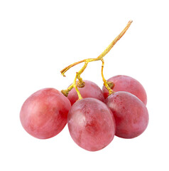 Branch of pink grapes isolated on white background.