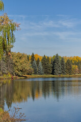 Autumn in a Local Park