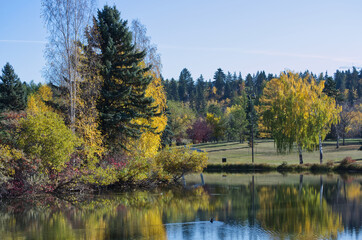 Autumn in a Local Park