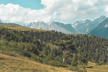 Summer mountain landscape near Mestia, Svaneti region, Georgia, Asia. Snowcapped mountains in the background. Blue sky with clouds above. Georgian travel destination