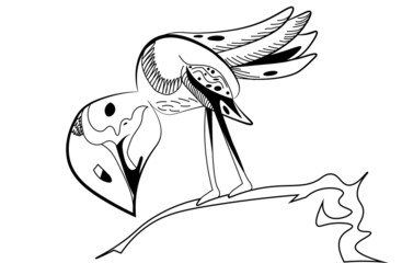 toucan bird