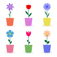 Set of flowers in pots. Bright collection of plants in flowerpots
