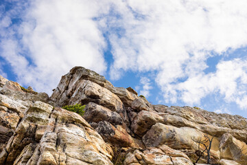 Rugged mountain landscape with fynbos flora in Cape Town