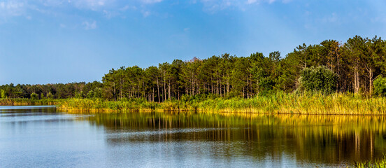 landscape of the lake in the Ukrainian part of the Danube Delta