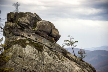 big stone head in the rocks of Dovbush in Ukrainian Carpathian