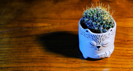 Cactus in a cat shaped jar on a wooden table