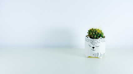 Cactus in a cat-shaped jar on a white background