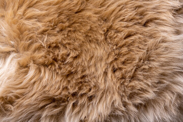 Trendy brown artificial fur texture. Fur pattern top view. Brown fur background. Texture of beige shaggy fur. Wool texture. Flaffy sheepskin close up
