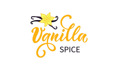 Fototapeta premium Vanilla spice hand lettering typography, modern brush ink calligraphy with vanilla flower and beans vector illustration for packages, product design, poster, decoration isolated on white background