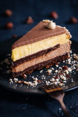 Nougat vanilla and chocolate glazed cake in four layers with hazelnuts on top and hazelnut crumbs around on a dark background