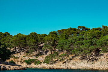 Fototapeta na wymiar view of part of the creeks of Marseille, with trees and blue sky