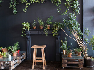 Fototapeta na wymiar Interior of a my studio with indoor plants around the the black fireplace.