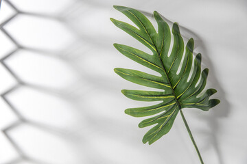 Artificial palm leaf is on white wall with shade from blinds