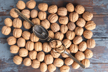Opened vintage bronze nutcracker with cracked walnut inside on a scattering of whole in-shell walnuts on a textured wooden background with cracked paint.
