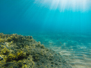 Ionian sea underwater view, gopro shot 