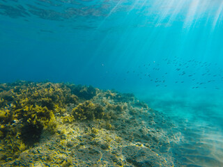 Naklejka na ściany i meble Ionian sea underwater view, gopro shot