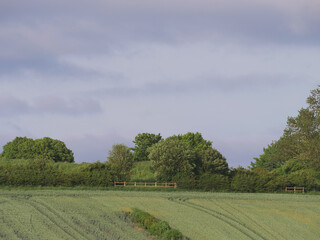 Green cultivated farmland in English summer landscape 