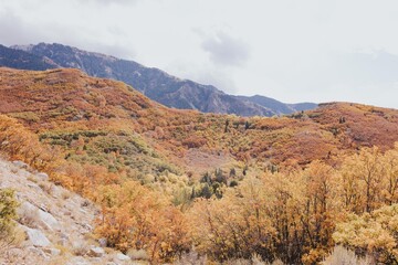 Fototapeta premium Utah Views