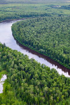 Top view of forest river