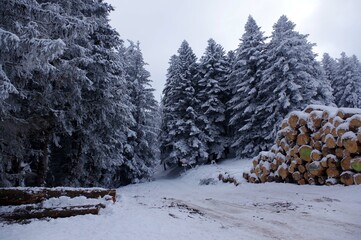 Le Bessat sous la neige