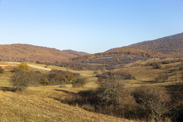 Herbst nach dem Laubfall 