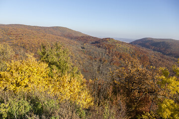 Berge im schönen, farbigen laub