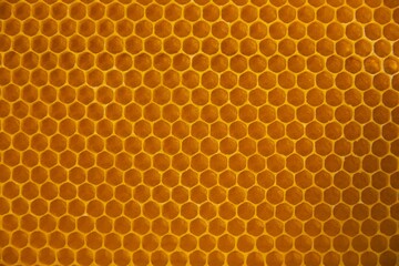 Honeycombs, top view, honeycomb.