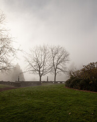 paisaje, portland, Oregon, Estados Unidos, vista, relax, cielo, azul, niebla, verde, color, bruma, puente, montaña, bosques, pinos, street