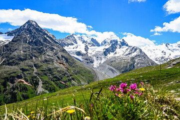 Piz Roseg Piz Scerscen Wanderweg