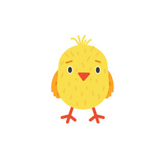 Funny little chick isolated on white background. Domestic baby bird. Cartoon character.