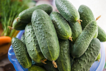 A bowl of fresh cucumbers on the kitchen table