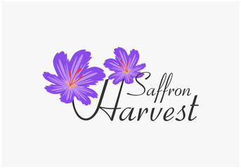saffron harvest logo design inspirations
