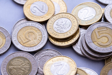 Polish coins magnified and close-up on a white background. Bank.