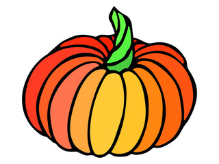 Vector hand drawn illustration of pumpkin. Isolated object on white background. Vegetable harvest clip art.  Farm market product. Elements for autumn design, decoration.